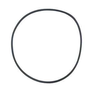 CORREIA DOS PRATOS DE CENTRIFUGAÇÃO - Imagem 1